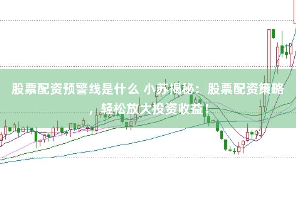 股票配资预警线是什么 小苏揭秘：股票配资策略，轻松放大投资收益！