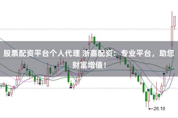 股票配资平台个人代理 浙嘉配资：专业平台，助您财富增值！