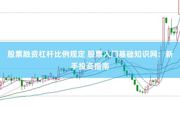 股票融资杠杆比例规定 股票入门基础知识网：新手投资指南