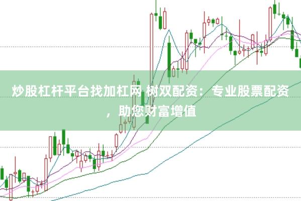 炒股杠杆平台找加杠网 树双配资：专业股票配资，助您财富增值