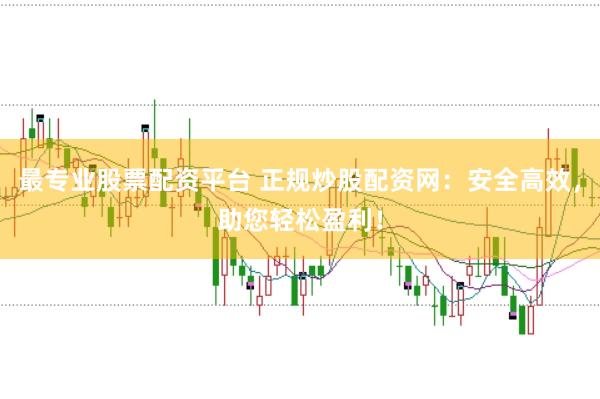最专业股票配资平台 正规炒股配资网：安全高效，助您轻松盈利！