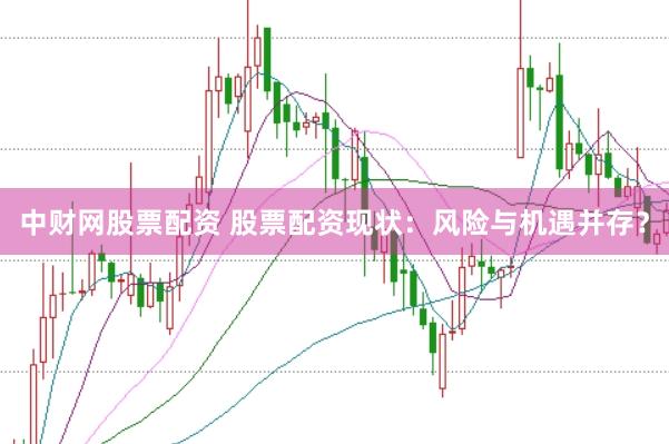 中财网股票配资 股票配资现状：风险与机遇并存？