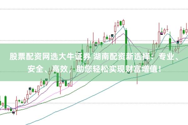 股票配资网选大牛证券 湖南配资新选择：专业、安全、高效，助您轻松实现财富增值！