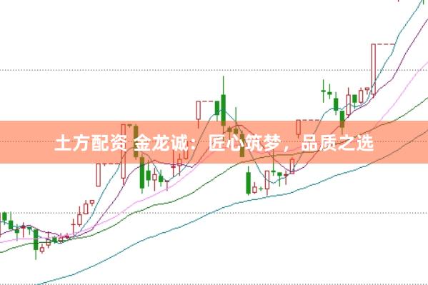 土方配资 金龙诚：匠心筑梦，品质之选