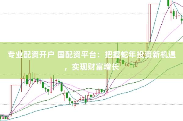 专业配资开户 国配资平台：把握蛇年投资新机遇，实现财富增长