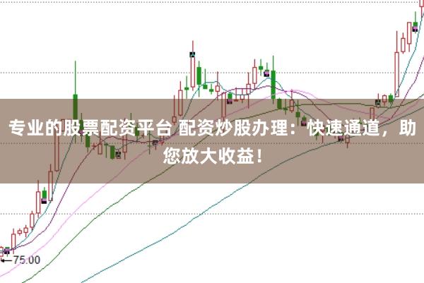 专业的股票配资平台 配资炒股办理：快速通道，助您放大收益！