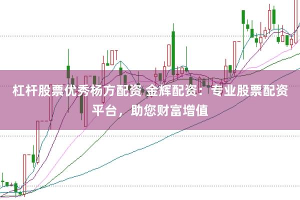 杠杆股票优秀杨方配资 金辉配资：专业股票配资平台，助您财富增值