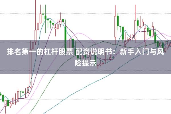 排名第一的杠杆股票 配资说明书:新手入门与风险提示