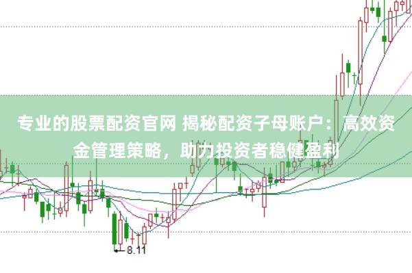 专业的股票配资官网 揭秘配资子母账户:高效资金管理策略,助力投资者稳健盈利