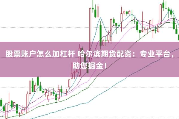股票账户怎么加杠杆 哈尔滨期货配资:专业平台,助您掘金!