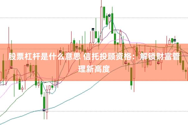 股票杠杆是什么意思 信托投顾资格:解锁财富管理新高度